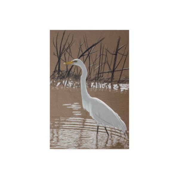 Trademark Fine Art Rusty Frentner 'Great Egret' Canvas Art, 22x32